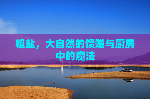 粗盐，大自然的馈赠与厨房中的魔法