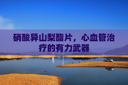 硝酸异山梨酯片，心血管治疗的有力武器