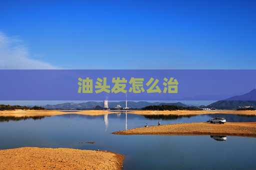 油头发怎么治