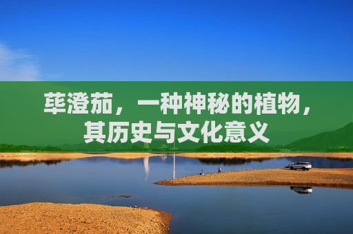 荜澄茄，一种神秘的植物，其历史与文化意义