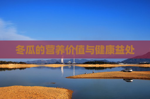 冬瓜的营养价值与健康益处