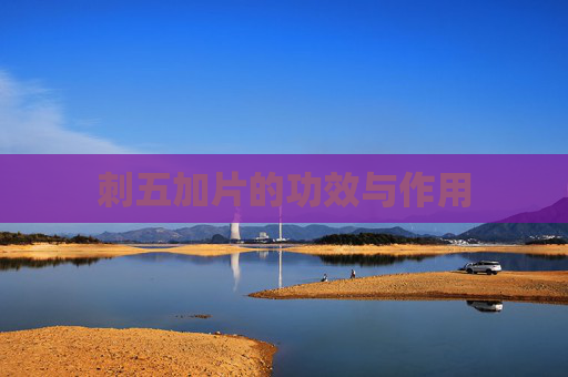 刺五加片的功效与作用