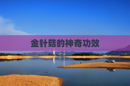 金针菇的神奇功效