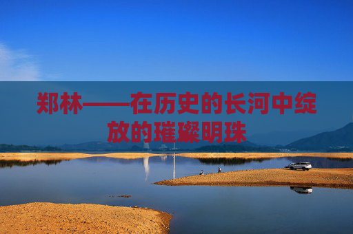 郑林——在历史的长河中绽放的璀璨明珠