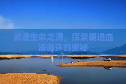 激活生命之源，探索促进血液循环的奥秘