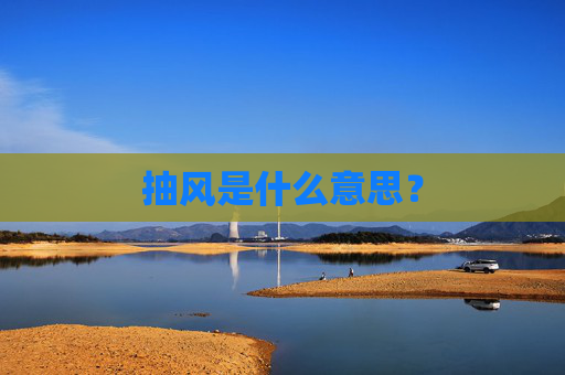 抽风是什么意思？