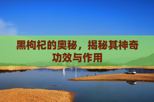 黑枸杞的奥秘，揭秘其神奇功效与作用