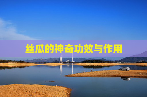 丝瓜的神奇功效与作用