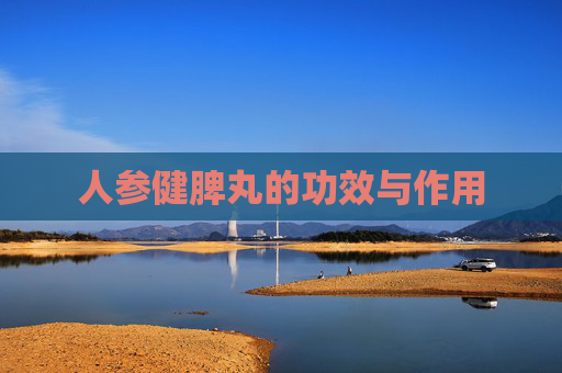 人参健脾丸的功效与作用