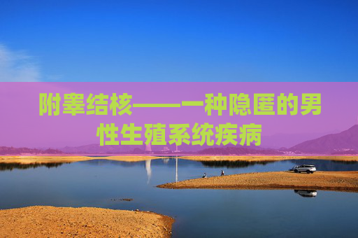 附睾结核——一种隐匿的男性生殖系统疾病
