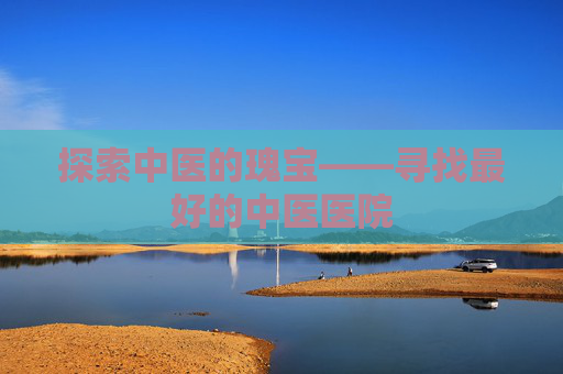 探索中医的瑰宝——寻找最好的中医医院