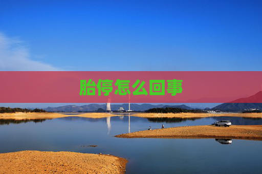 胎停怎么回事