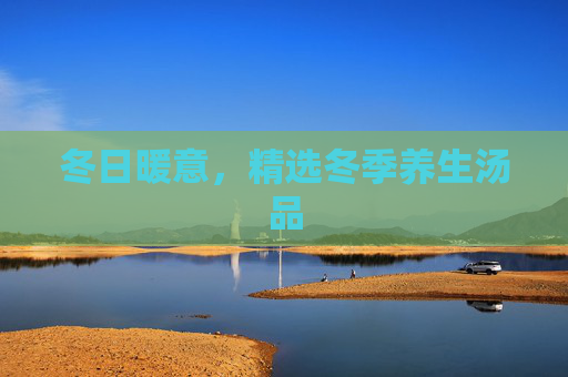 冬日暖意，精选冬季养生汤品