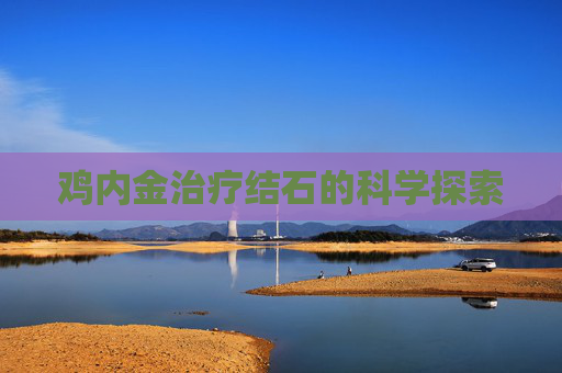 鸡内金治疗结石的科学探索 鸡内金治疗结石的科学探索