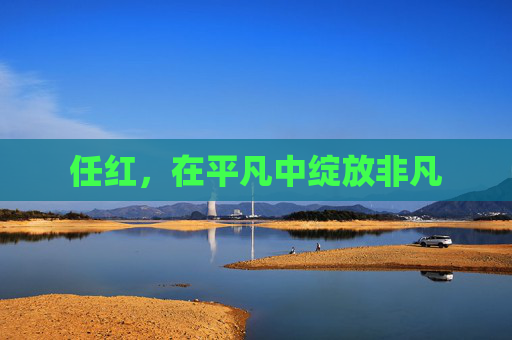 任红，在平凡中绽放非凡