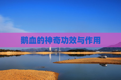 鹅血的神奇功效与作用