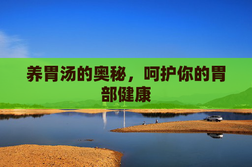 养胃汤的奥秘，呵护你的胃部健康
