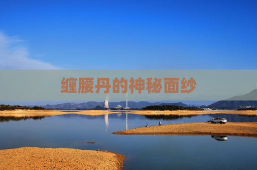 缠腰丹的神秘面纱 缠腰丹的神秘面纱