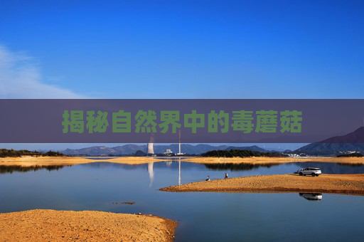 揭秘自然界中的毒蘑菇 揭秘自然界中的毒蘑菇