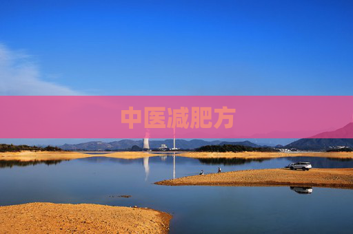 中医减肥方 中医减肥方
