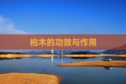 柏木的功效与作用
