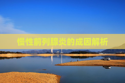 慢性前列腺炎的成因解析