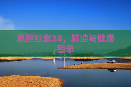 总胆红素28，解读与健康警示