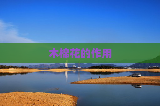 木棉花的作用 木棉花的作用