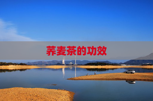 荞麦茶的功效