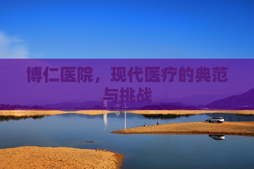 博仁医院，现代医疗的典范与挑战