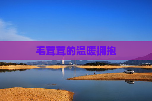 毛茸茸的温暖拥抱 毛茸茸的温暖拥抱