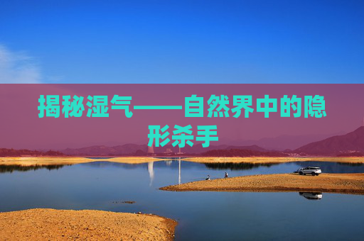 揭秘湿气——自然界中的隐形杀手