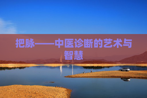 把脉——中医诊断的艺术与智慧