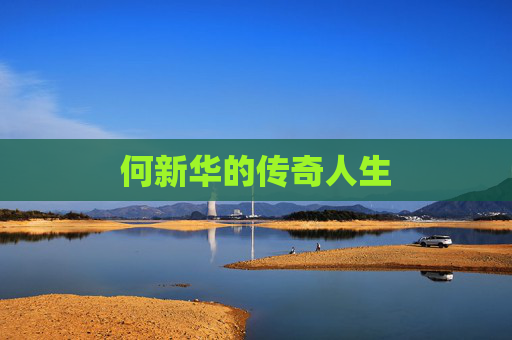 何新华的传奇人生