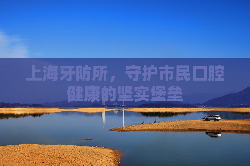 上海牙防所，守护市民口腔健康的坚实堡垒