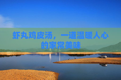 虾丸鸡皮汤，一道温暖人心的家常美味