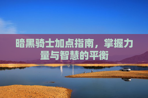暗黑骑士加点指南，掌握力量与智慧的平衡