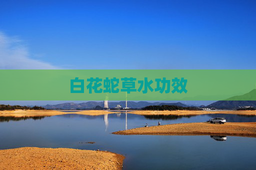 白花蛇草水功效
