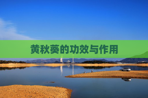 黄秋葵的功效与作用