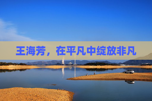王海芳,在平凡中绽放非凡 王海芳,在平凡中绽放非凡