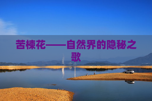 苦楝花——自然界的隐秘之歌