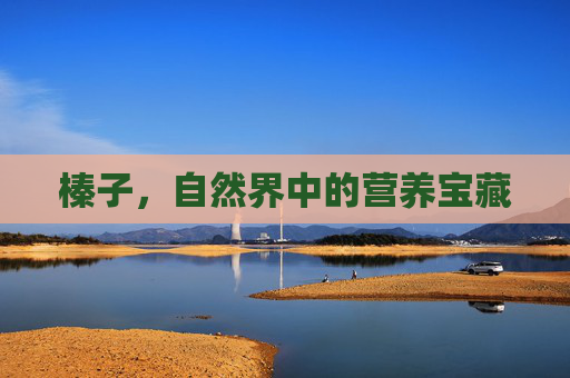 榛子,自然界中的营养宝藏 榛子,自然界中的营养宝藏