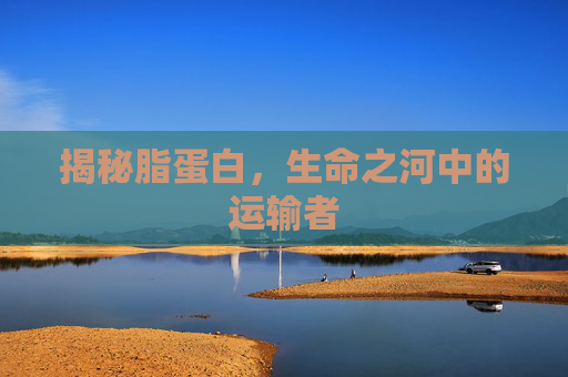 揭秘脂蛋白,生命之河中的运输者 揭秘脂蛋白,生命之河中的运输者