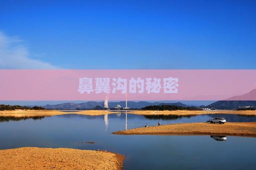 鼻翼沟的秘密 鼻翼沟的秘密