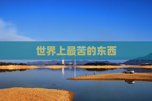 世界上最苦的东西