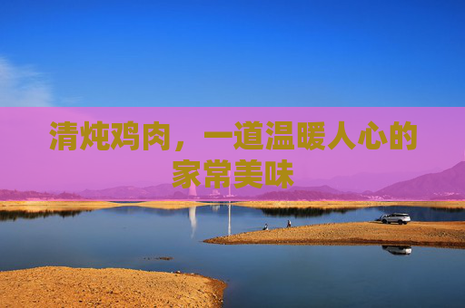 清炖鸡肉，一道温暖人心的家常美味