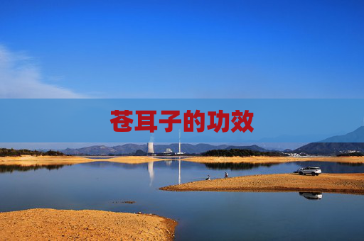 苍耳子的功效