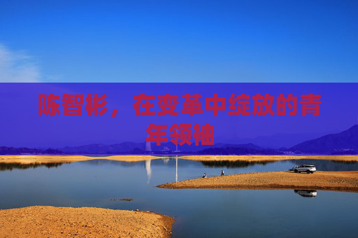 陈智彬，在变革中绽放的青年领袖