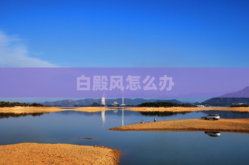 白殿风怎么办