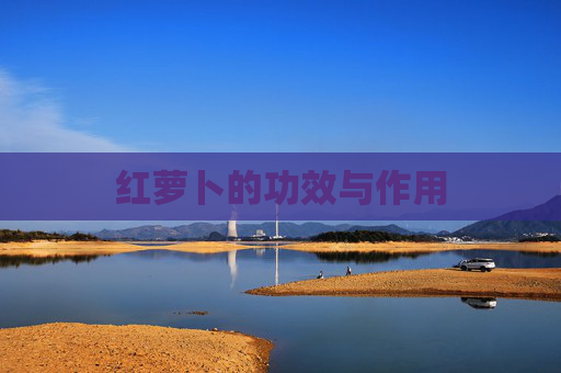 红萝卜的功效与作用 红萝卜的功效与作用